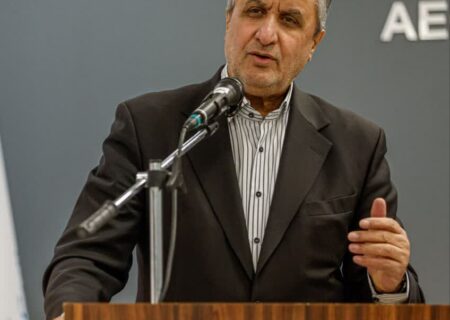 محمد اسلامی: حمله به نطنز تروریستی بود/ نشت پرتویی نداشتیم