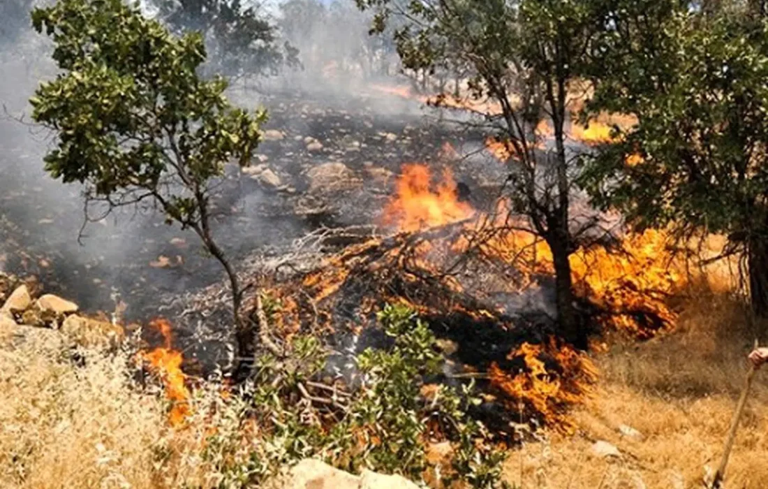 ادامهی تلاشها برای مهار آتشسوزی در منطقه الیمائی سولک
