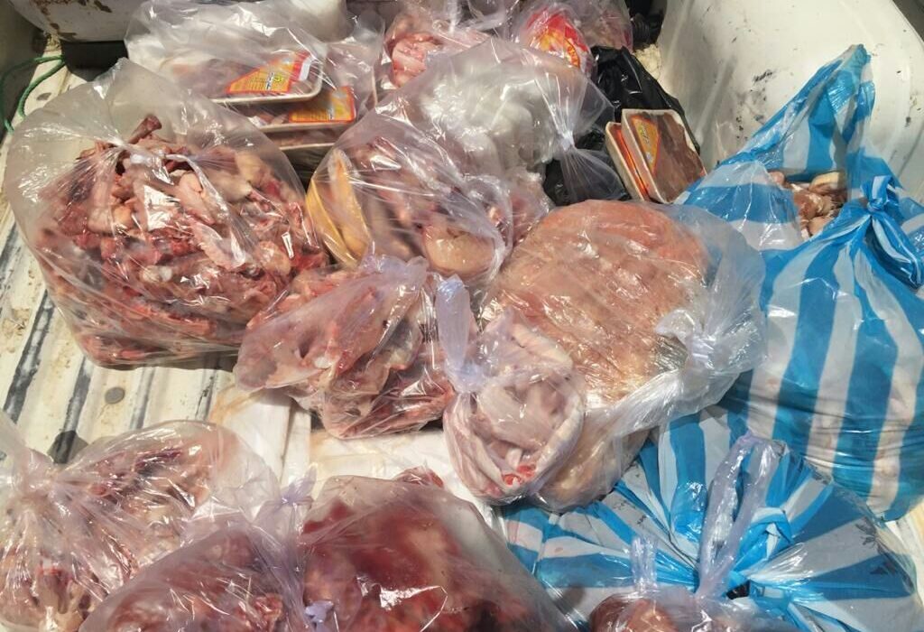 معدوم‌سازی ۲۴۰ کیلوگرم مرغ و گوشت غیرقابل مصرف در شادگان