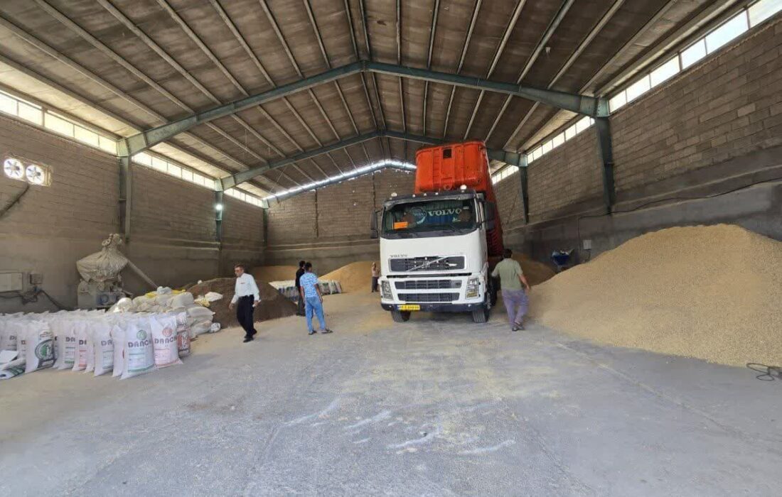 توزیع یک هزار و ۵۰۰ تن نهاده دامی بین عشایر و دامداران اندیمشک