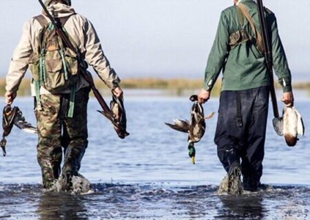 ۹ شکارچی غیرمجاز در تالاب شادگان به دادگاه معرفی شدند