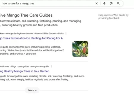Web Guide گوگل: هوش مصنوعی جمینای نتایج جستجو را متحول می‌کند