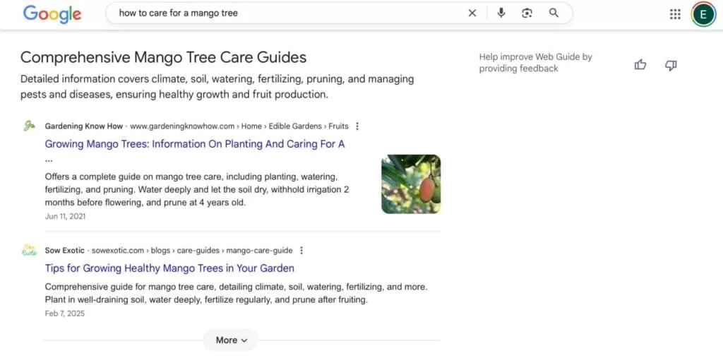Web Guide گوگل: هوش مصنوعی جمینای نتایج جستجو را متحول میکند