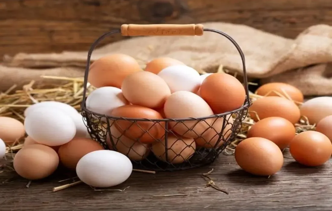 تخم مرغ به این دلایل سریع فاسد میشود