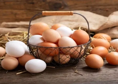 تخم‌ مرغ به این دلایل سریع‌ فاسد می‌شود
