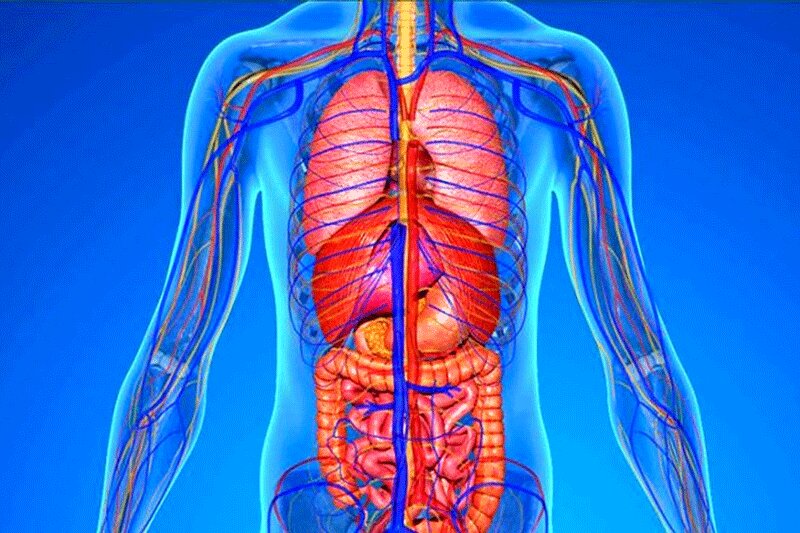 این ۵ نشانه در بدن را جدی بگیرید