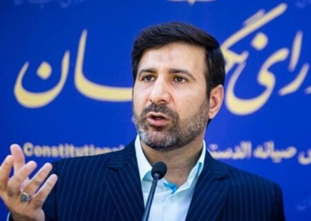 سخنگوی شورای نگهبان: ابهامات طرح تشدید مجازات جاسوسی قابل رفع است/ تعلیق همکاری با آژانس بین‌المللی انرژی اتمی لازم الاجرا شد