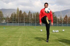 وحید هاشمیان سرمربی پرسپولیس شد