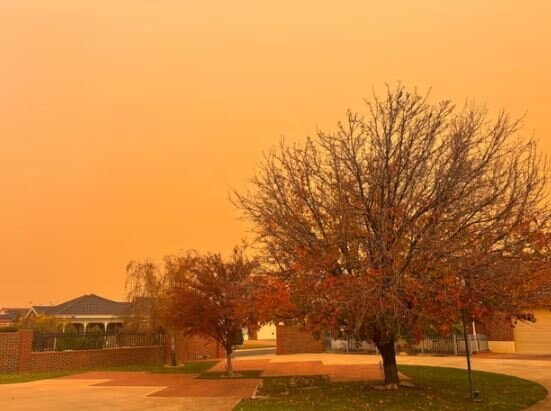 ورود توده عظیم گرد وغبار از مرزهای غربی کشور