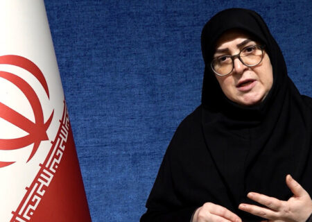 مهاجرانی: براساس منافع ملی درباره مذاکرات تصمیم می گیریم