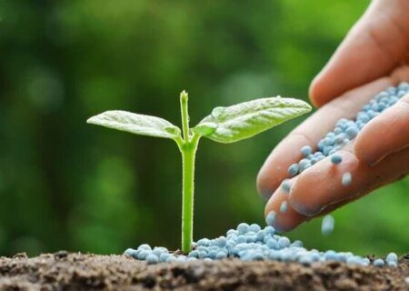 واگذاری تجدیدنظر ۳۳ استاندارد ملی در رشته کودها و سموم به خوزستان