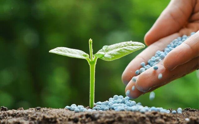 واگذاری تجدیدنظر ۳۳ استاندارد ملی در رشته کودها و سموم به خوزستان