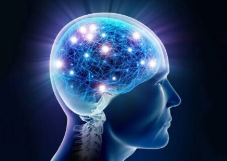 آیا «هوش» ارثی است؟