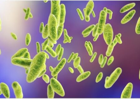 همه چیز درباره بیماری «هزار چهره»