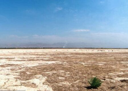 انصاری: تالاب صالحیه، کانون اصلی گردوغبار تهران و کرج است