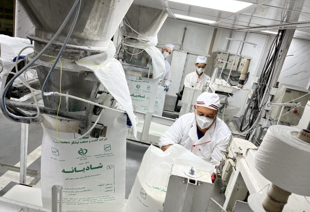 تولید بیش از ۷۲۱ هزار تن شکر سفید در توسعه نیشکر