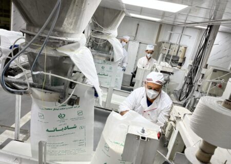 تولید بیش از ۷۲۱ هزار تن شکر سفید در توسعه نیشکر