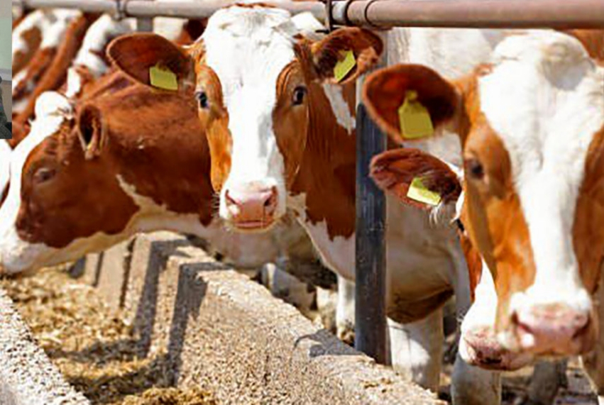 ما رکورد میزنیم، اما در آلودگی؛ وقتی ایران ششمین آلاینده دنیاست و هیچکس پاسخگو نیست