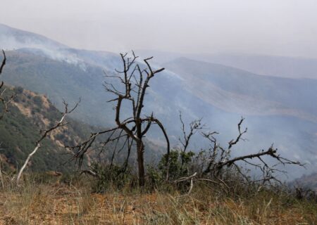 آتش‌سوزی در منطقه پلاک مونک شهرستان دزپارت مهار شد