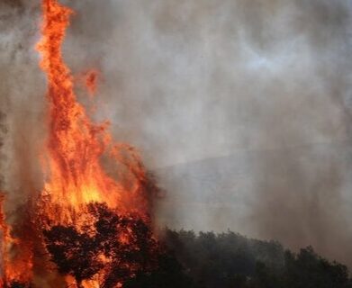 جنگل ابر شاهرود در آتش؛ فریاد خاموش میراث هیرکانی در شعله‌ها می‌سوزد!
