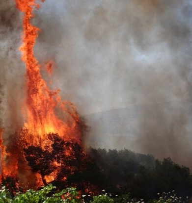 جنگل ابر شاهرود در آتش؛ فریاد خاموش میراث هیرکانی در شعله‌ها می‌سوزد!