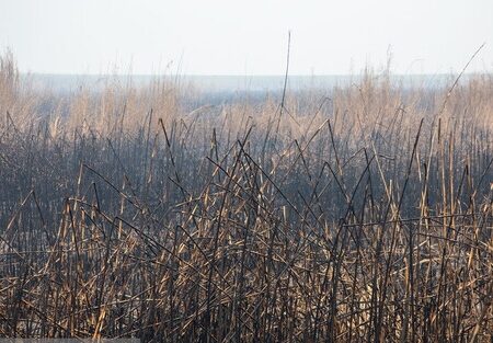 اعزام هواپیمای آب‌پاش به خوزستان برای مهار آتش‌ هورالعظیم