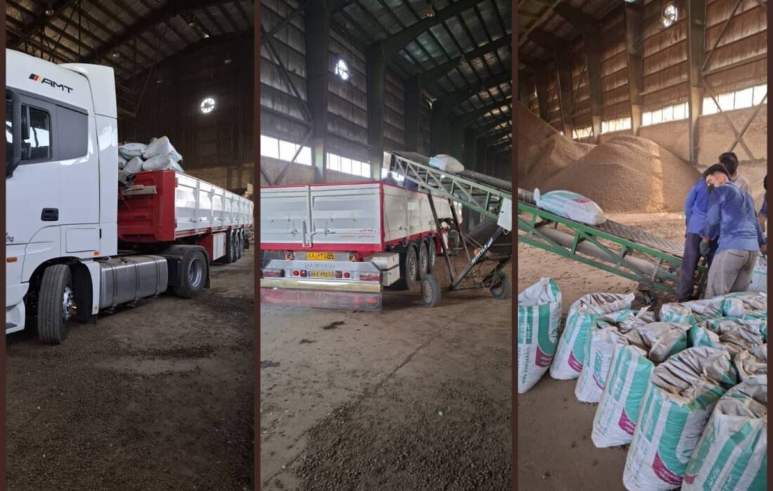 نخستین محموله خوراک دام نیشکری ایران به عراق صادر شد