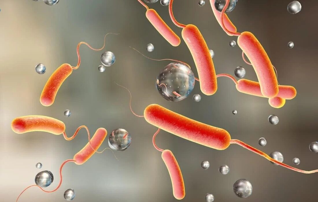 هشدار سازمان جهانی بهداشت؛ شیوع گسترده یک بیماری کشنده در ۳۱ کشور