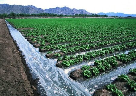 آب از خط لوله جدید طالقان مهر ماه وارد شبکه می‌شود