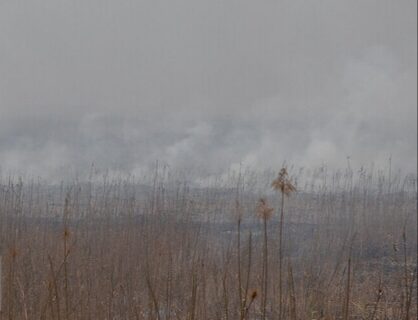 تنفس هوای آلوده در ۱۲ شهر خوزستان/ ۵ شهر در وضعیت «قرمز»