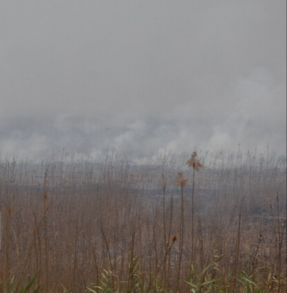 تنفس هوای آلوده در ۱۲ شهر خوزستان/ ۵ شهر در وضعیت «قرمز»