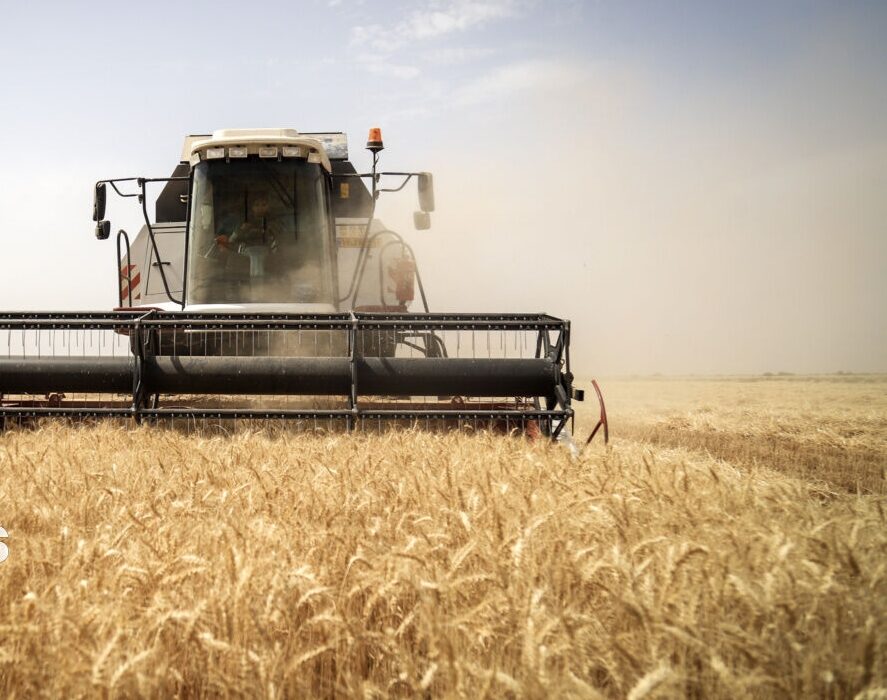 تاخیر در پرداخت پول گندمکاران قابل قبول نیست/ دولت منابع مطمئن‌تری اختصاص دهد