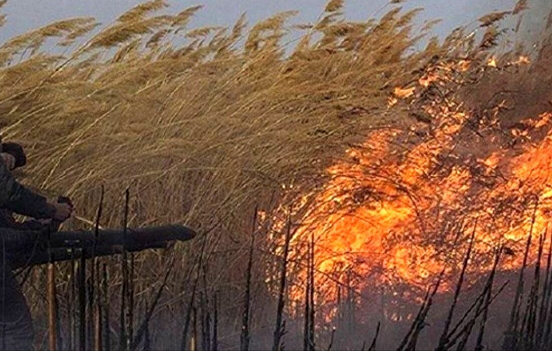 سازمان حفاظت محیط زیست درباره هورالعظیم: دیگر تصمیمگیری مقطعی نمیکنیم /بدون تصویر کلی مجوزی صادر نخواهد شد!