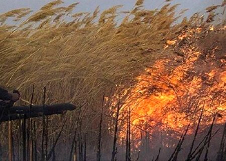 سازمان حفاظت محیط زیست درباره هورالعظیم: دیگر تصمیم‌گیری مقطعی نمی‌کنیم /بدون تصویر کلی مجوزی صادر نخواهد شد!