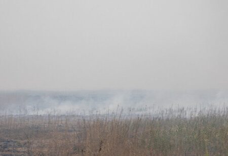 هوای هویزه در وضعیت «بسیار ناسالم»/ ۸ شهر خوزستان در وضعیت «قرمز»