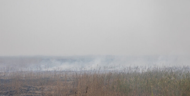 هوای هویزه در وضعیت «بسیار ناسالم»/ ۸ شهر خوزستان در وضعیت «قرمز»