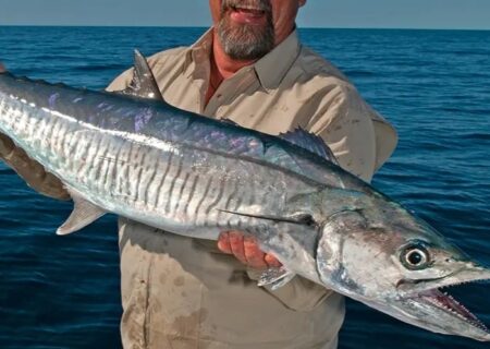 صید ماهی شیر برای ۲ ماه ممنوع شد