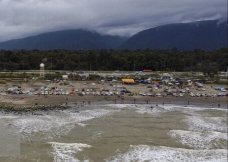 خطر بیابانی شدن سواحل دریای خزر با پس روی دریا/ لزوم کاشت گونه‌های بومی در سواحل