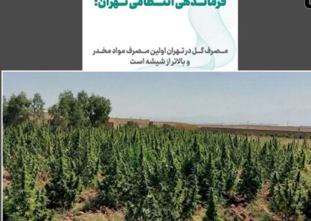 آژیر قرمز مخدر سبز در ایران / «گل»؛ مخدری که تهران را بلعیده ، میانکاله را به آتش کشیده و الیگودرز را قرق کرده است !