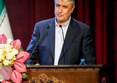 اسلامی: نظارت بازرسان آژانس بر فرآیند تعویض سوخت نیروگاه بوشهر انجام شد