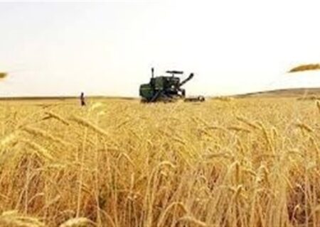 نرخ پیشنهادی گندم با ۱۱ درصد سود برای کشاورزان اعلام شد