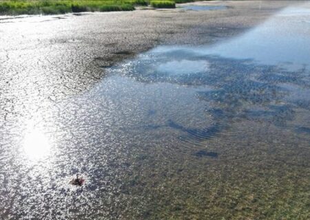 پاییز بی‌باران در راه است/ هشدار درباره تشنگی ایران