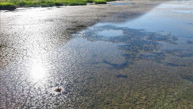 پاییز بیباران در راه است/ هشدار درباره تشنگی ایران