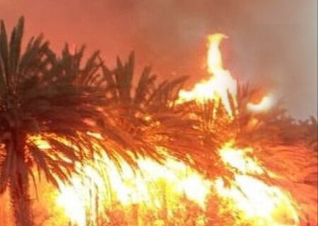آتش‌سوزی گسترده در نخلستان‌های بخش مرکزی آبادان