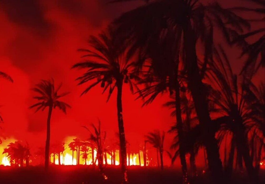 ۲۰۰ اصله نخل در روستای مقیطه آبادان سوخت