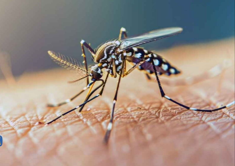 هشدار رئیس مرکز بهداشت خوزستان نسبت به شیوع سه بیماری خطرناک