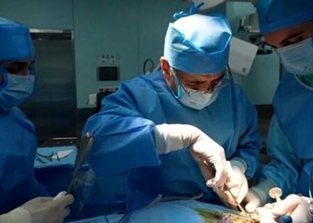 هشدار متخصصان جراحی لاغری: بوتاکس معده روشی غیراستاندارد و پرعارضه برای کاهش وزن است