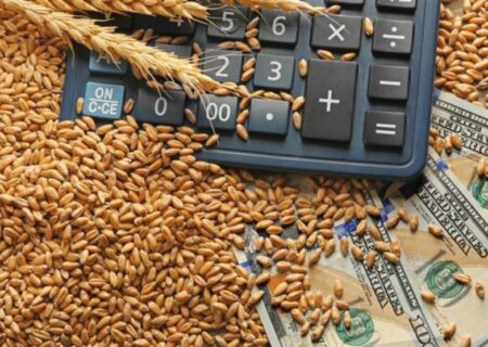 آغاز مجدد واردات گندم از کشور‌های حاشیه دریای خزر/ نخستین محموله وارد شد