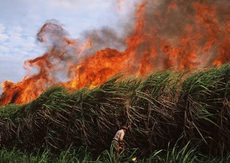 نمی‌شود اهواز زیر دود سنگین سوزاندن مزارع باشد/ لزوم تعیین مهلت برای حذف آلودگی صنعت نیشکر