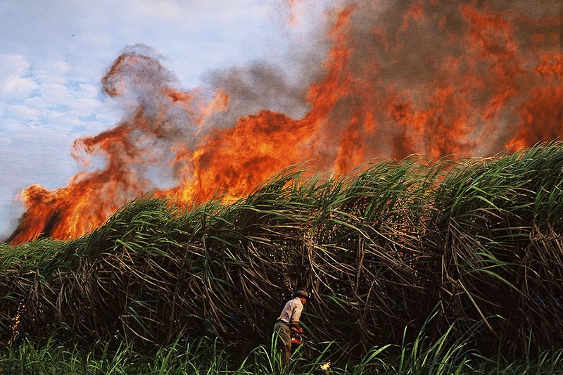 نمیشود اهواز زیر دود سنگین سوزاندن مزارع باشد/ لزوم تعیین مهلت برای حذف آلودگی صنعت نیشکر
